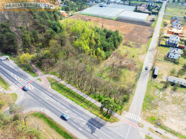 Działka Sprzedaż Rajszew 11